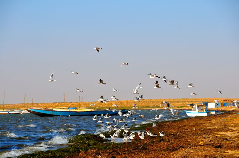 Mauritania